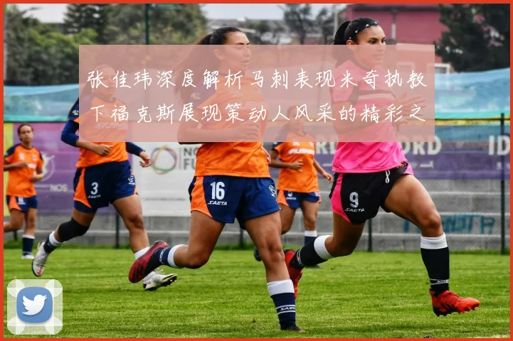张佳玮深度解析马刺表现米奇执教下福克斯展现策动人风采的精彩之战